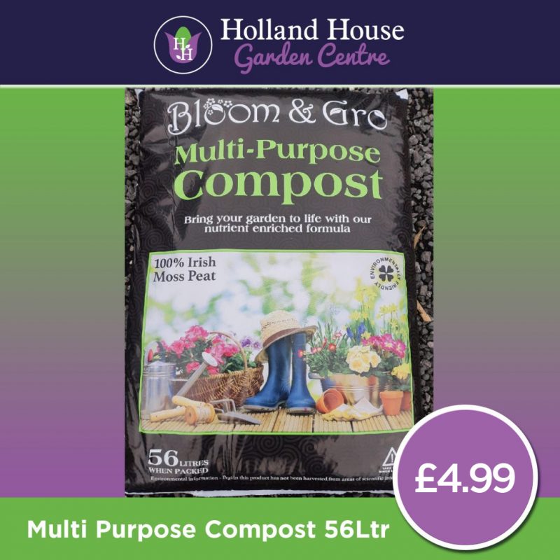 Bloom & Grow Ericaceous Compost 56ltr X3 Holland House Garden