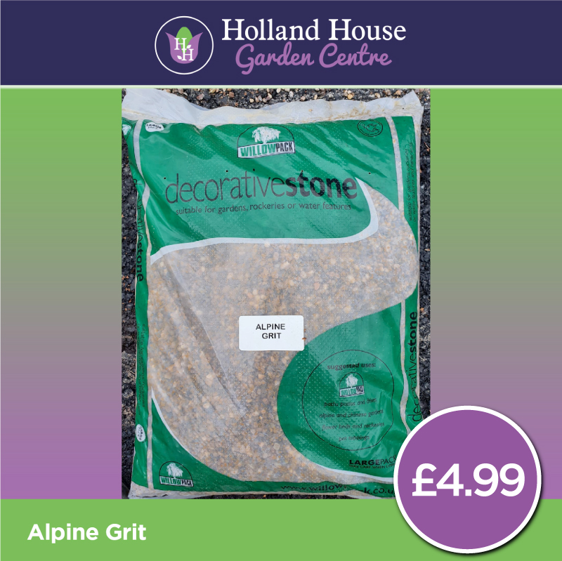 Alpine Grit 1x Holland House Garden Centre Preston