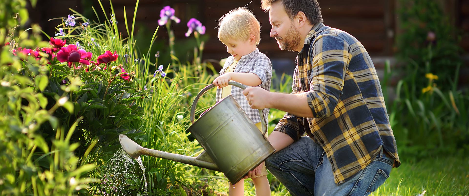 Garden Hints Tips Holland House Garden Centre Preston