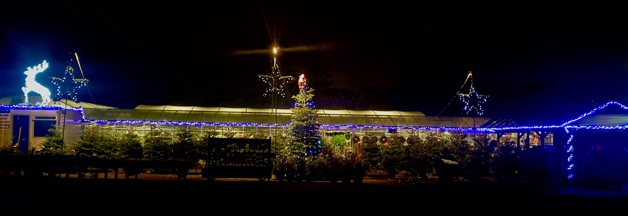 Christmas Trees Preston Christmas Wreaths Holland House Nursery