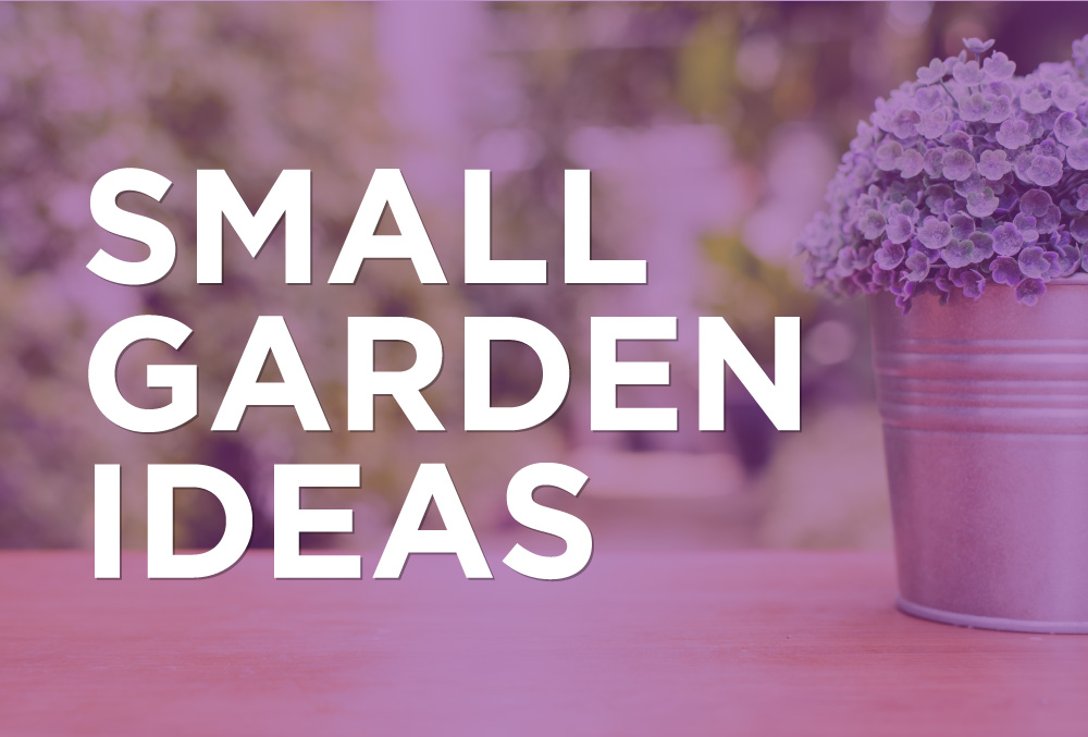 Best Small Garden Ideas